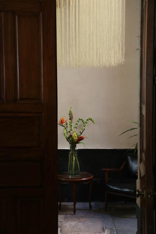 El Patio 77 B&B Mexico By Eksteriør billede