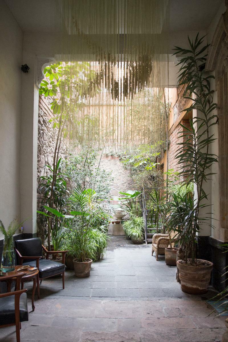 El Patio 77 B&B Mexico By Eksteriør billede
